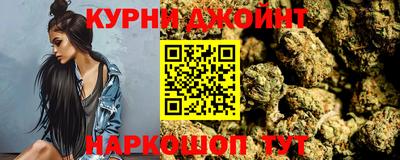 сатива Аргун