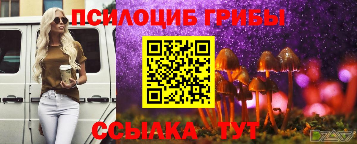 Псилоцибиновые грибы MAGIC MUSHROOMS Артём