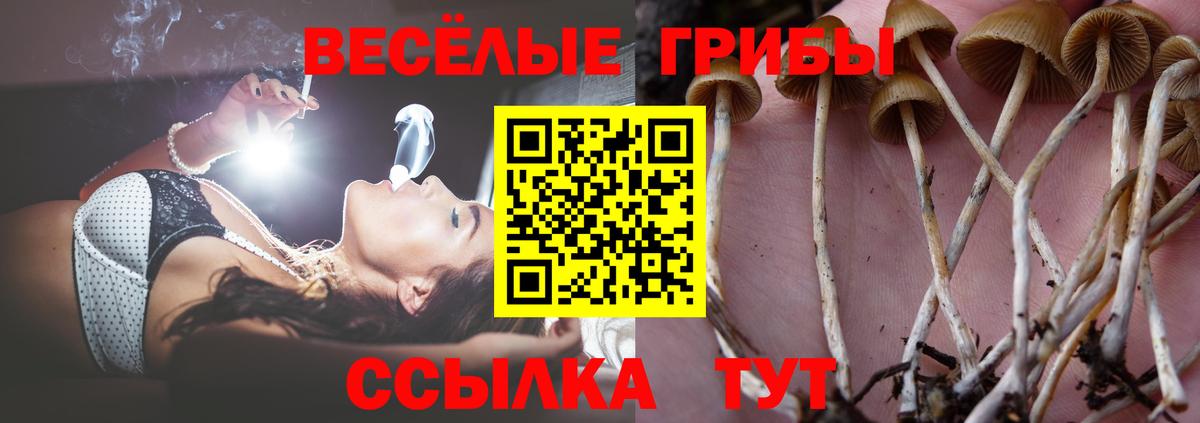 Псилоцибиновые грибы Magic Shrooms  Артём 