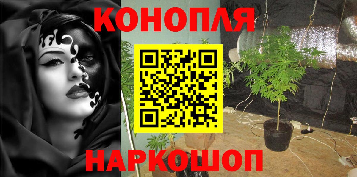 Канабис MAZAR  МАРИХУАНА сатива  Артём  МАРИХУАНА SATIVA & INDICA  Канабис планчик 